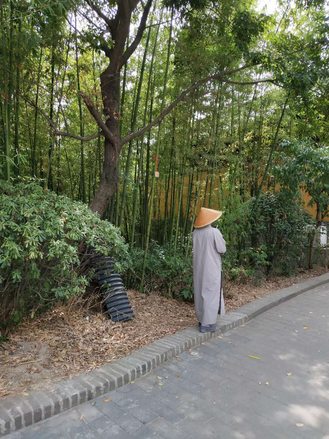 wechat_upload15901138575ec736416241a