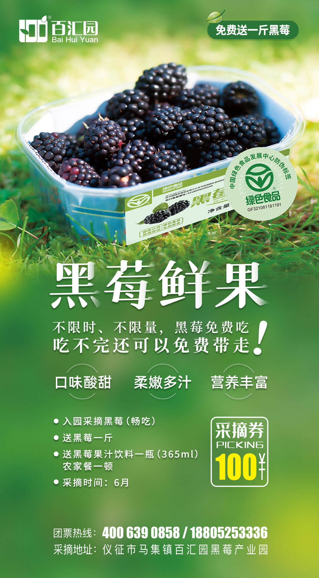黑莓