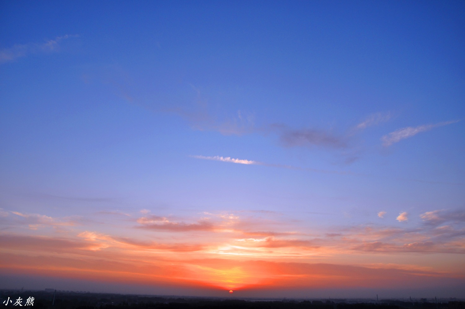 DSC_0120.JPG