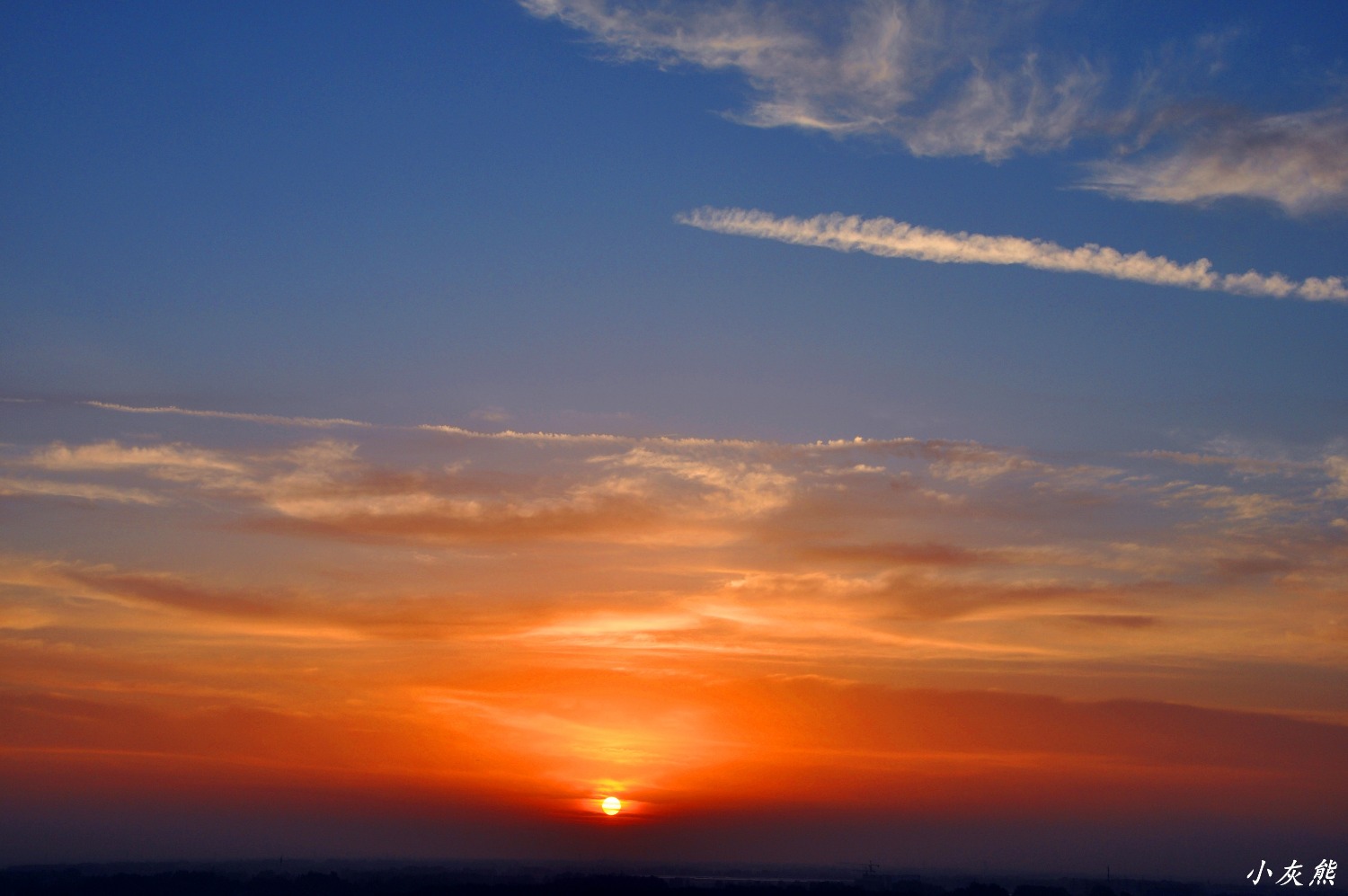 DSC_0120.JPG