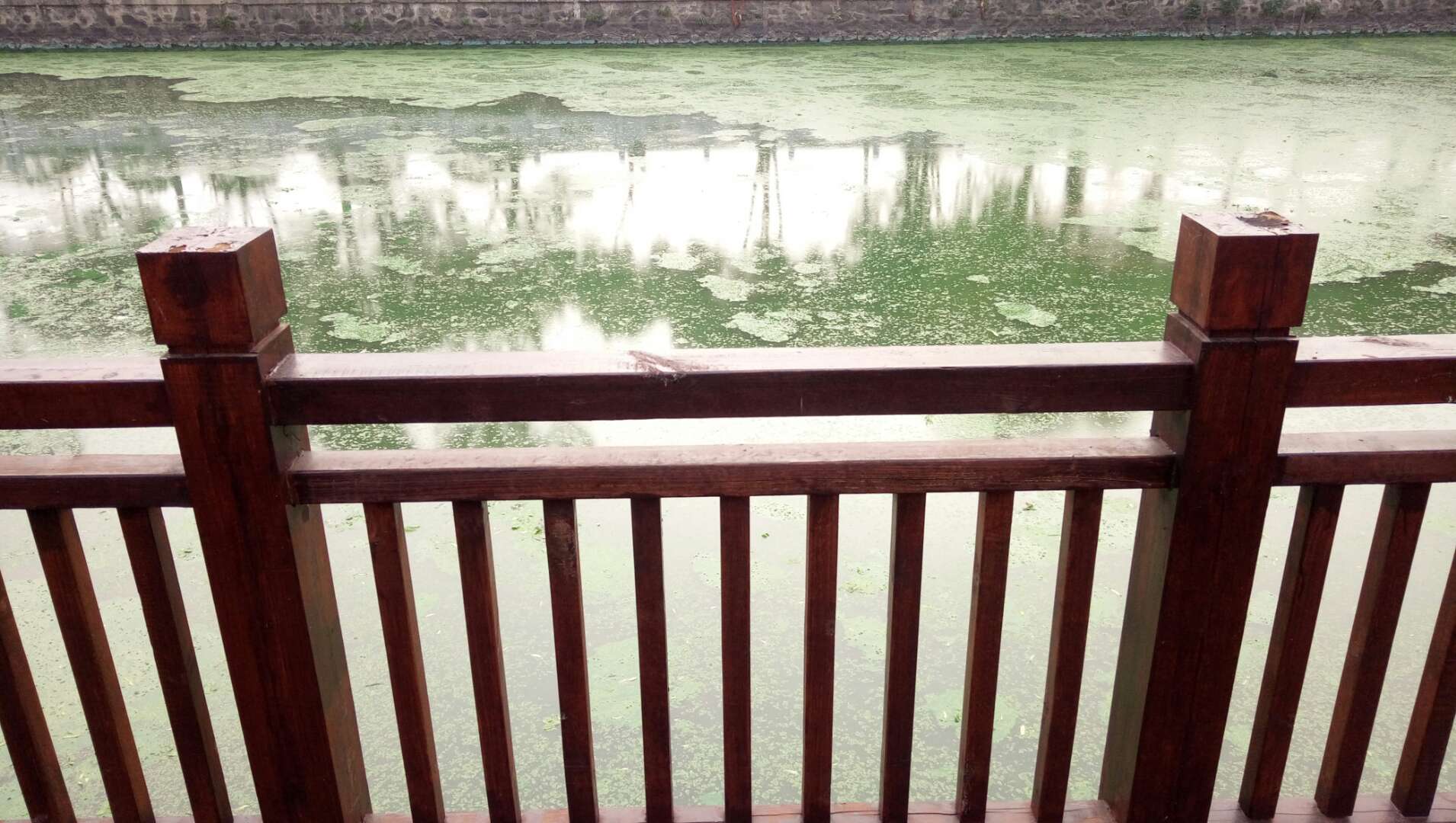 微信图片_20200611093252.jpg