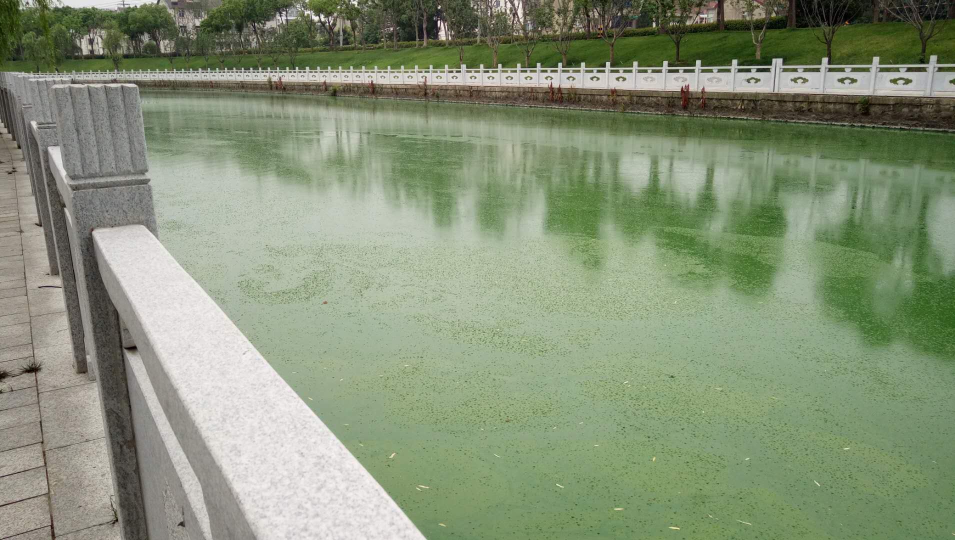 微信图片_20200611093423.jpg