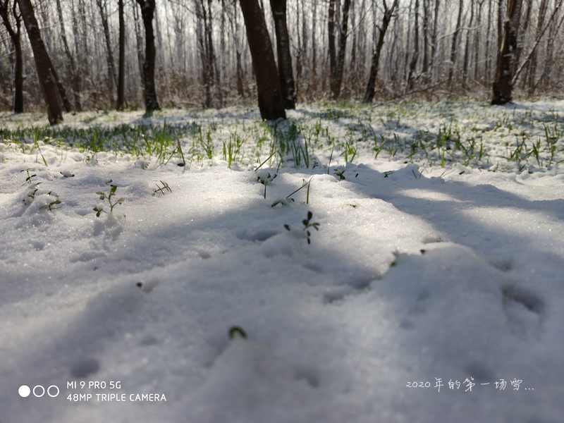 IMG_20200216_095436_meitu_3.jpg
