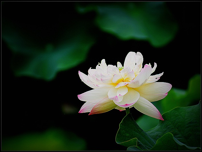 DSC_9069_o,.jpg