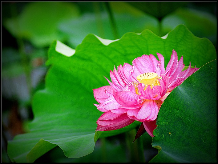 DSC_9069_o,.jpg