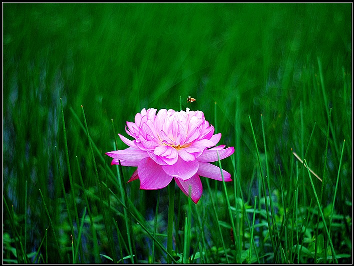 DSC_9069_o,.jpg