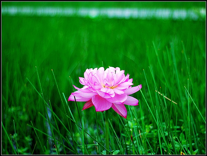 DSC_9069_o,.jpg