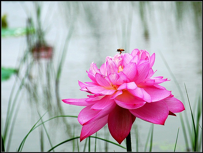 DSC_9069_o,.jpg