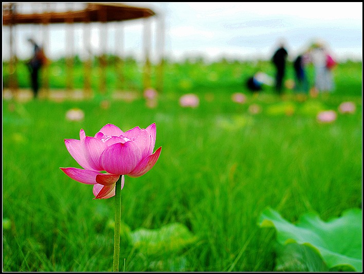 DSC_9069_o,.jpg
