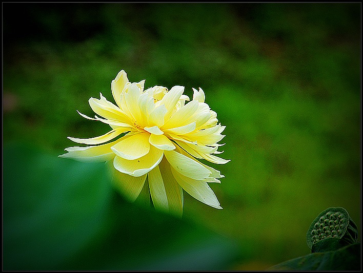DSC_9069_o,.jpg