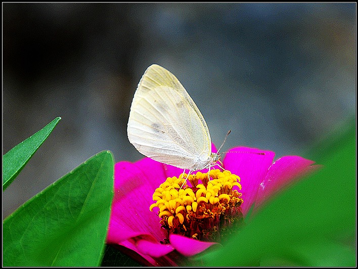 DSC_9069_o,.jpg