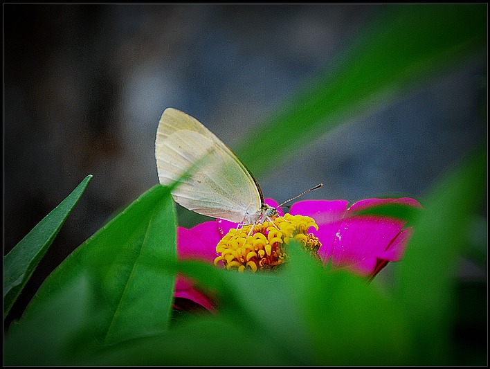 DSC_9069_o,.jpg