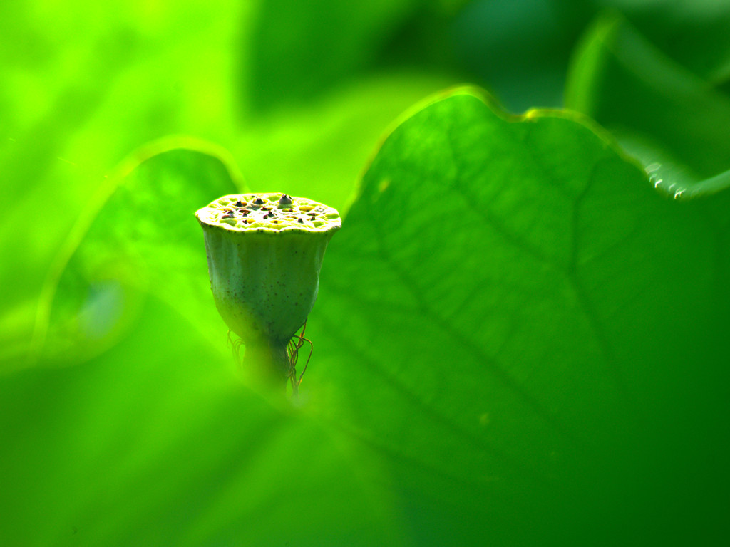 IMGP8605_副本.jpg