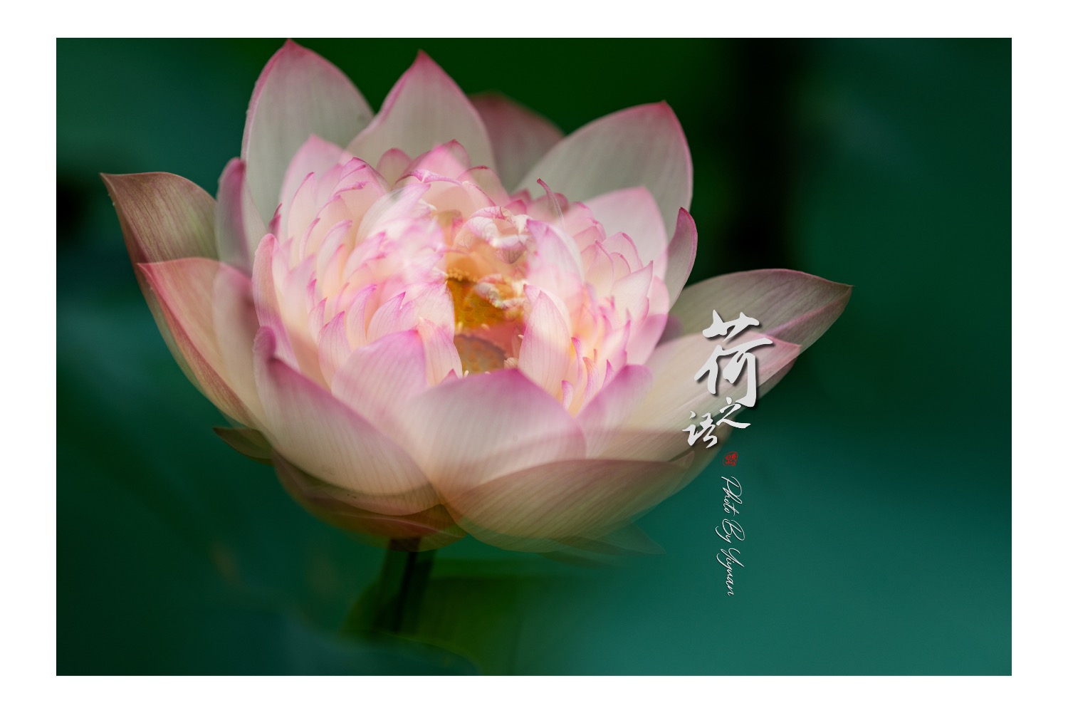4DFE5221-B891-4CDC-9C8A-E67FCBA9FEA8.jpeg