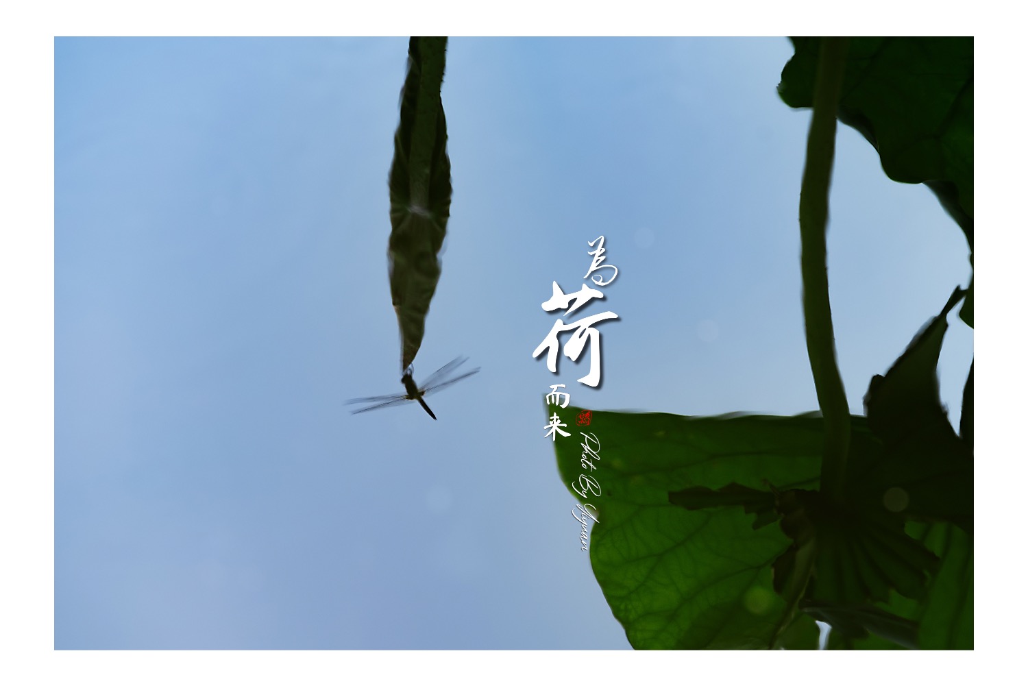 9FF95FE9-25A4-4761-A442-AF298A67F1E2.jpeg