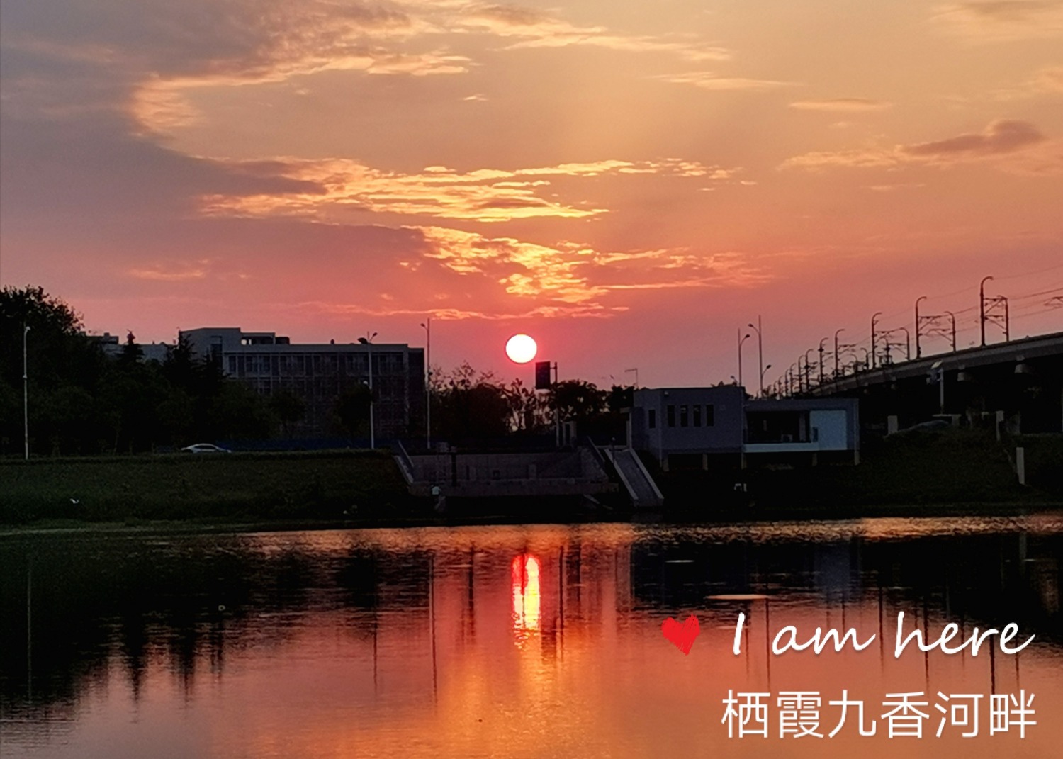IMG_20191017_211703.jpg