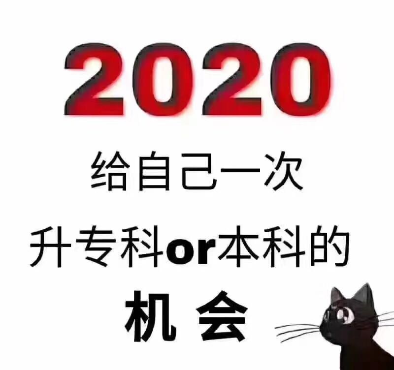00000000.jpg