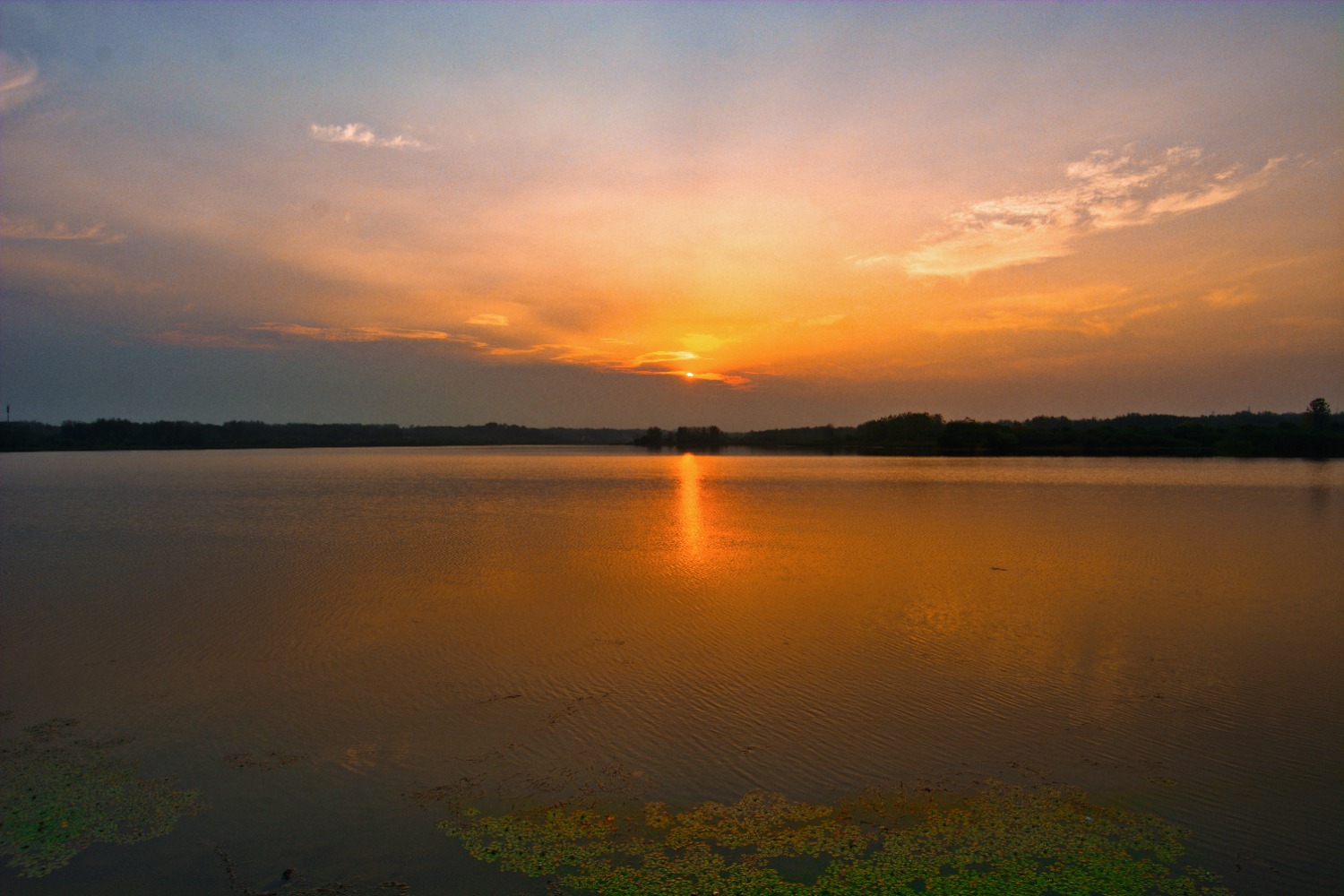 DSC_7862_polarr.jpg