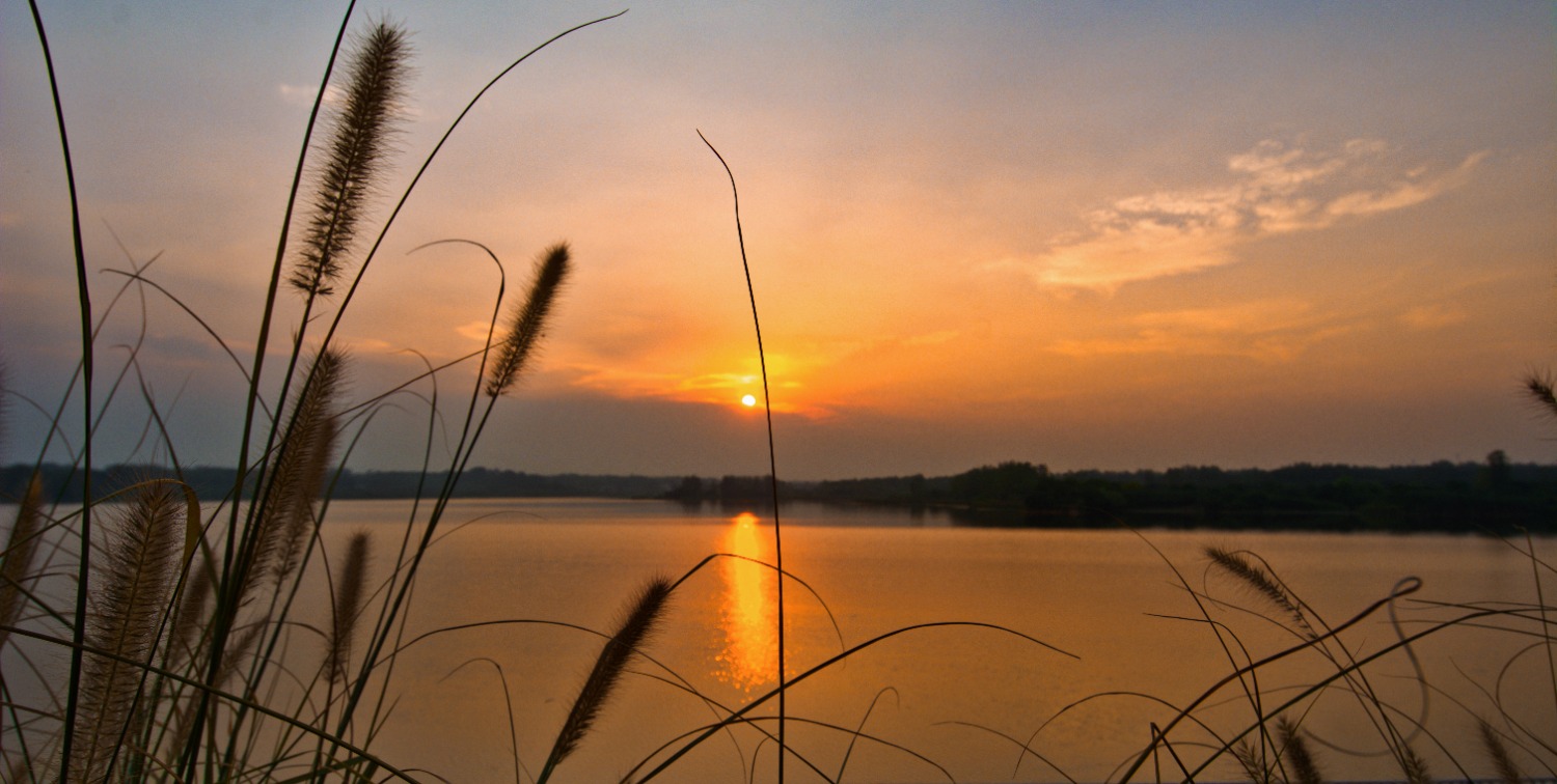 DSC_7859_polarr.jpg