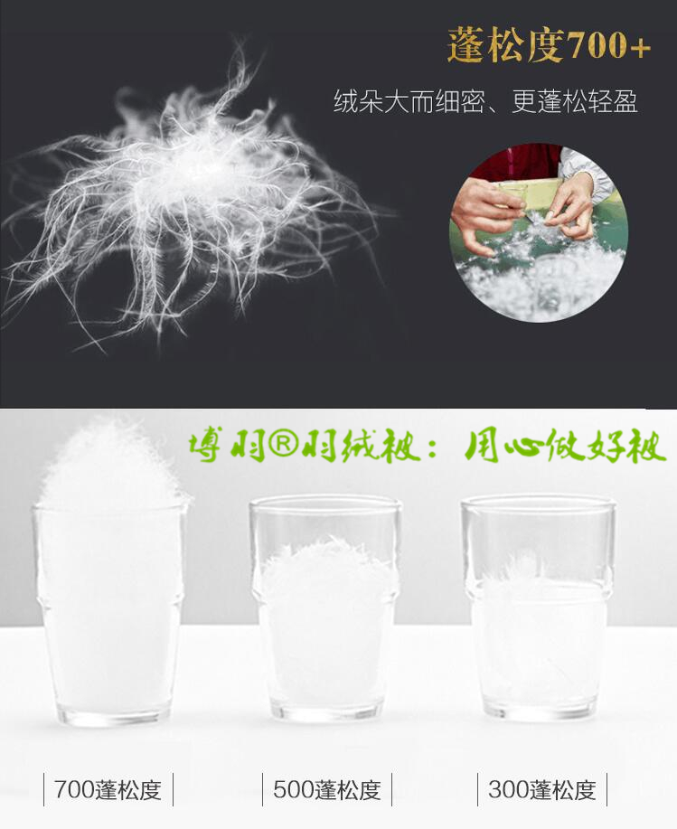 羽绒被 3.jpg