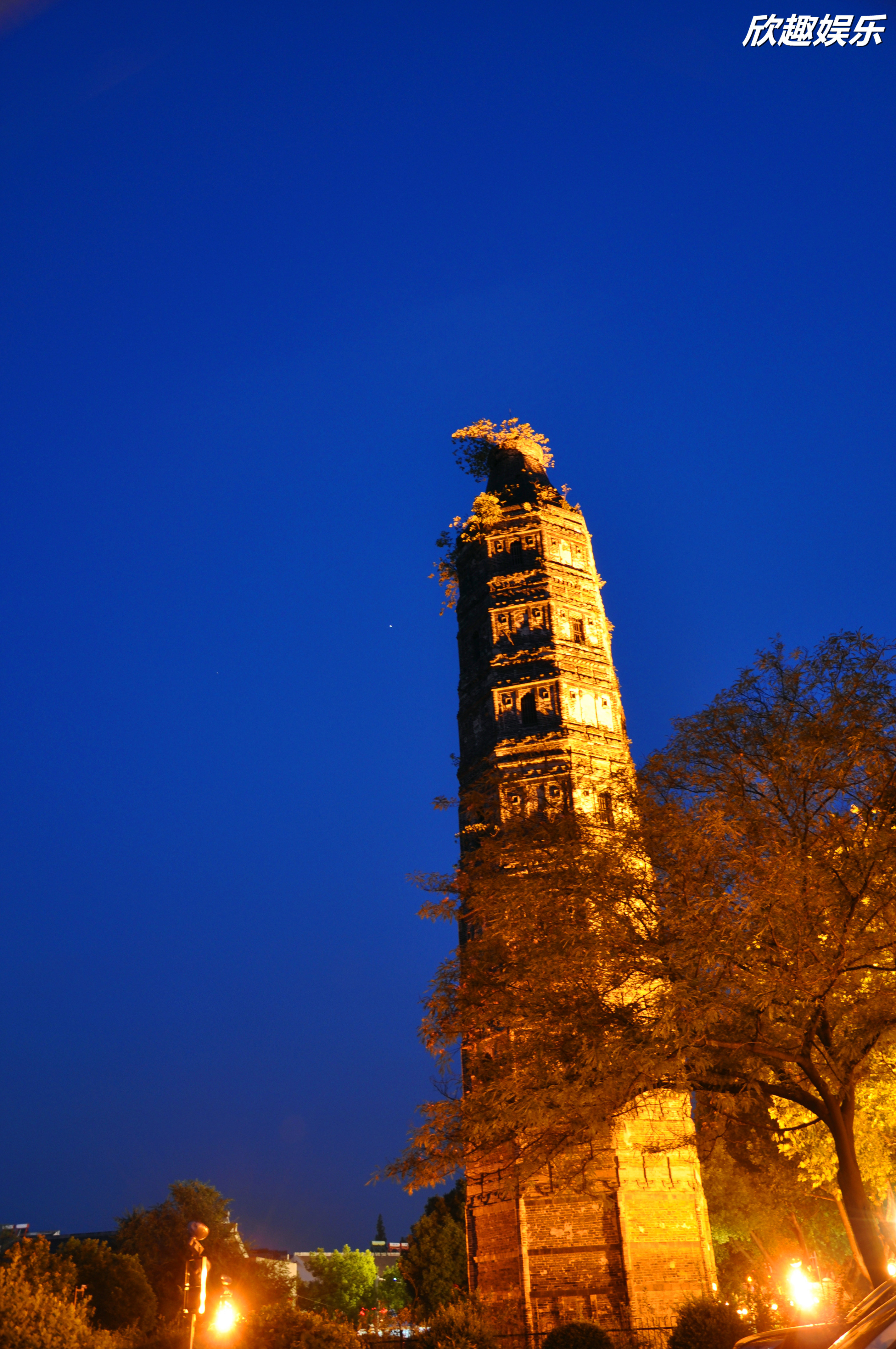 DSC_0002_39322473492957.JPG