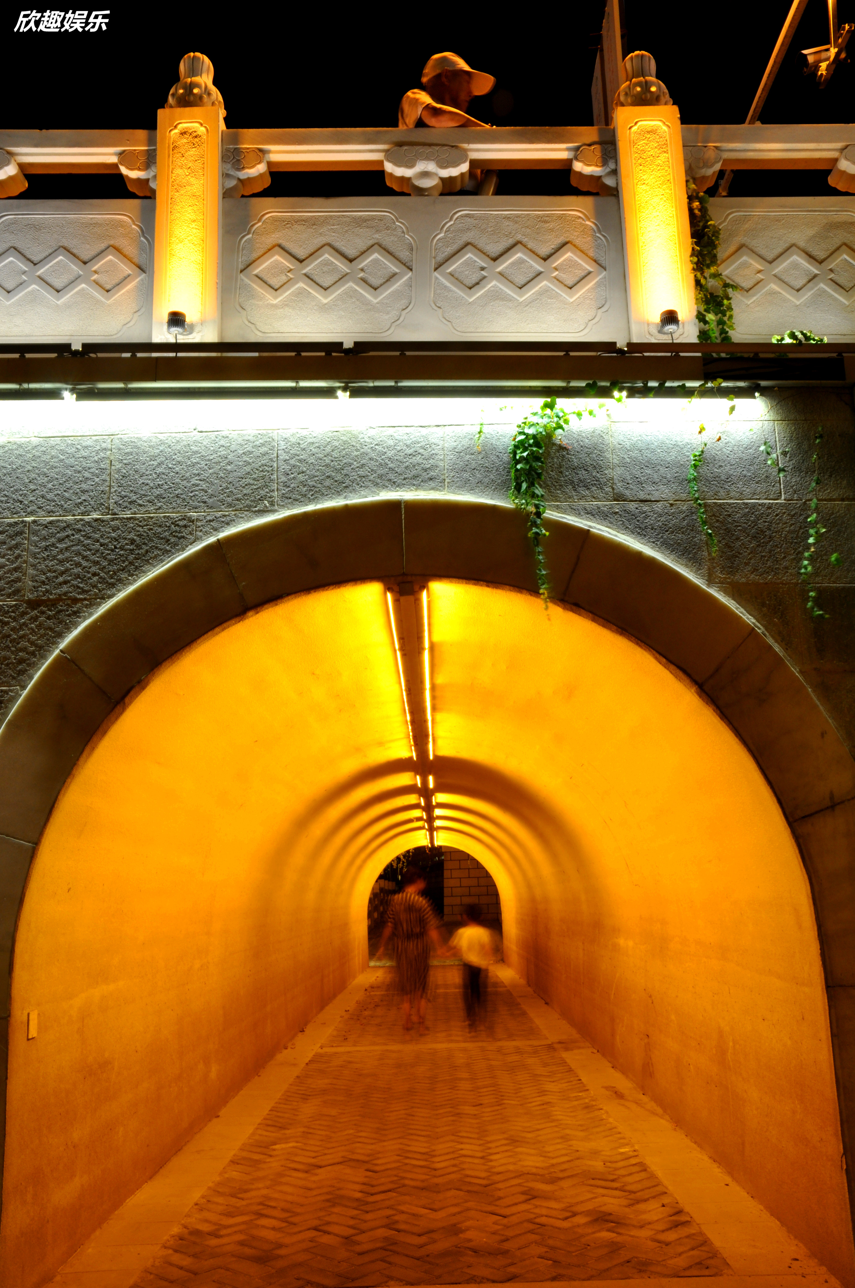 DSC_0100_39322504421082.JPG