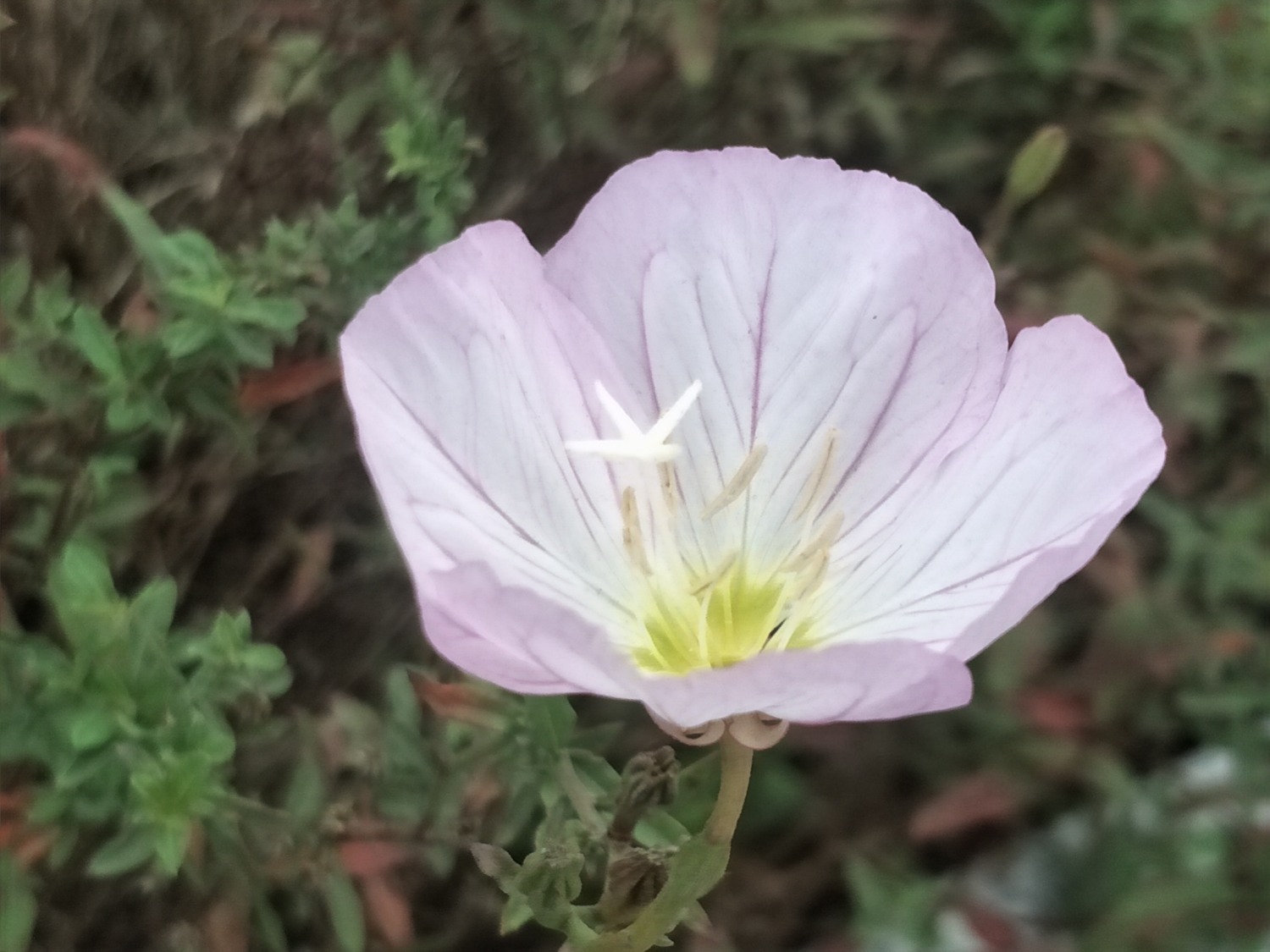 IMG20201002151348.jpg