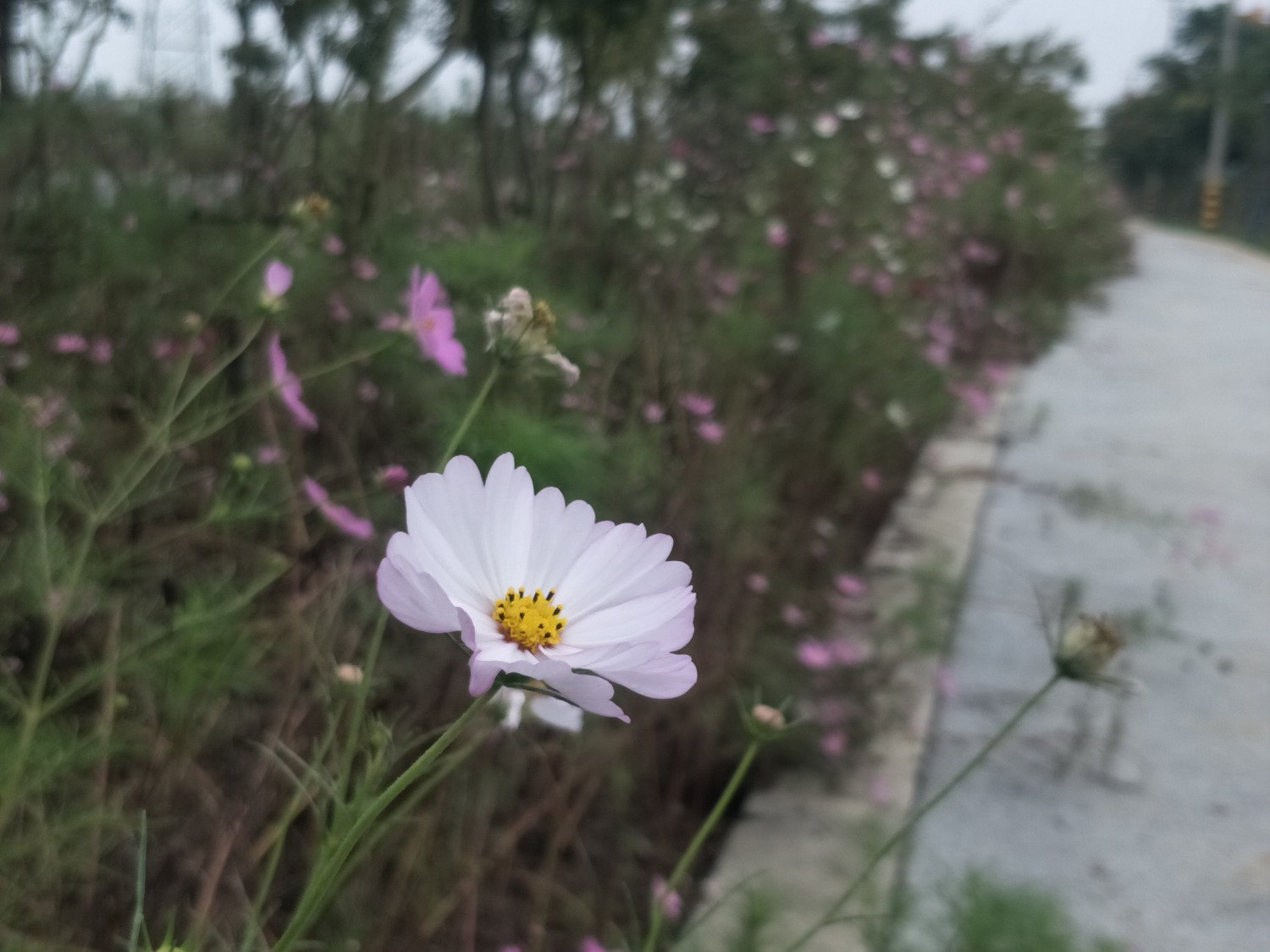 IMG20201002152730.jpg
