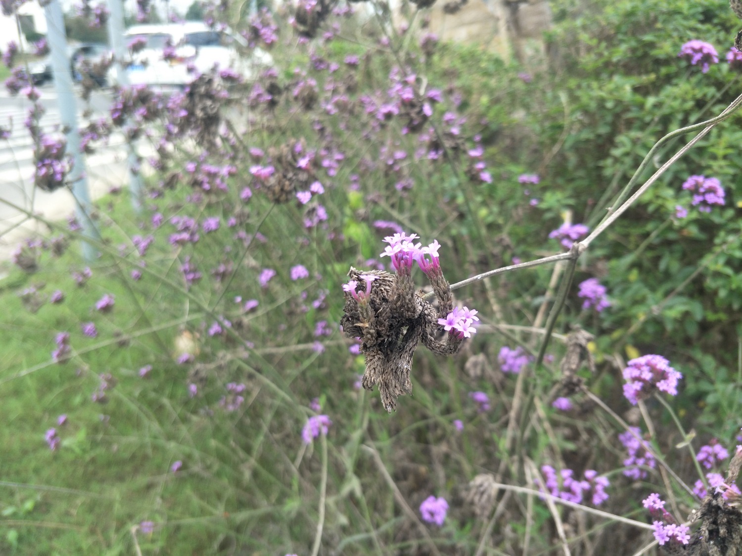 IMG20201002143440.jpg