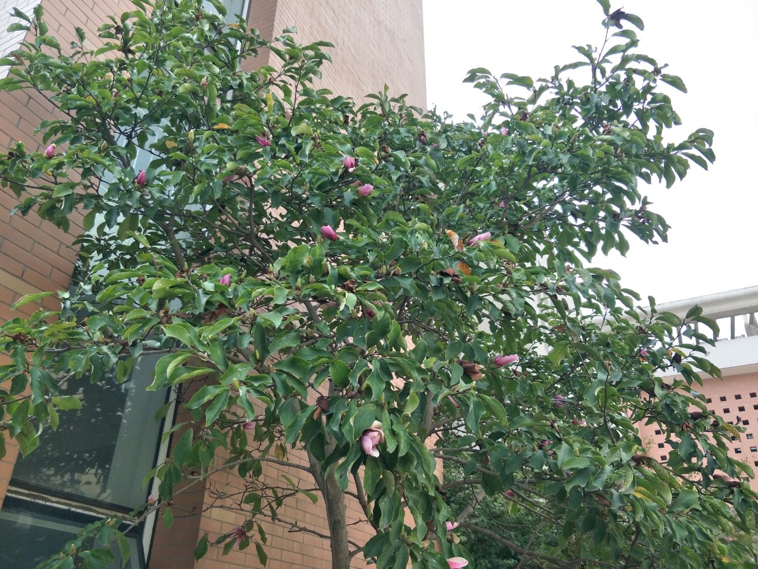 IMG20200916140319.jpg