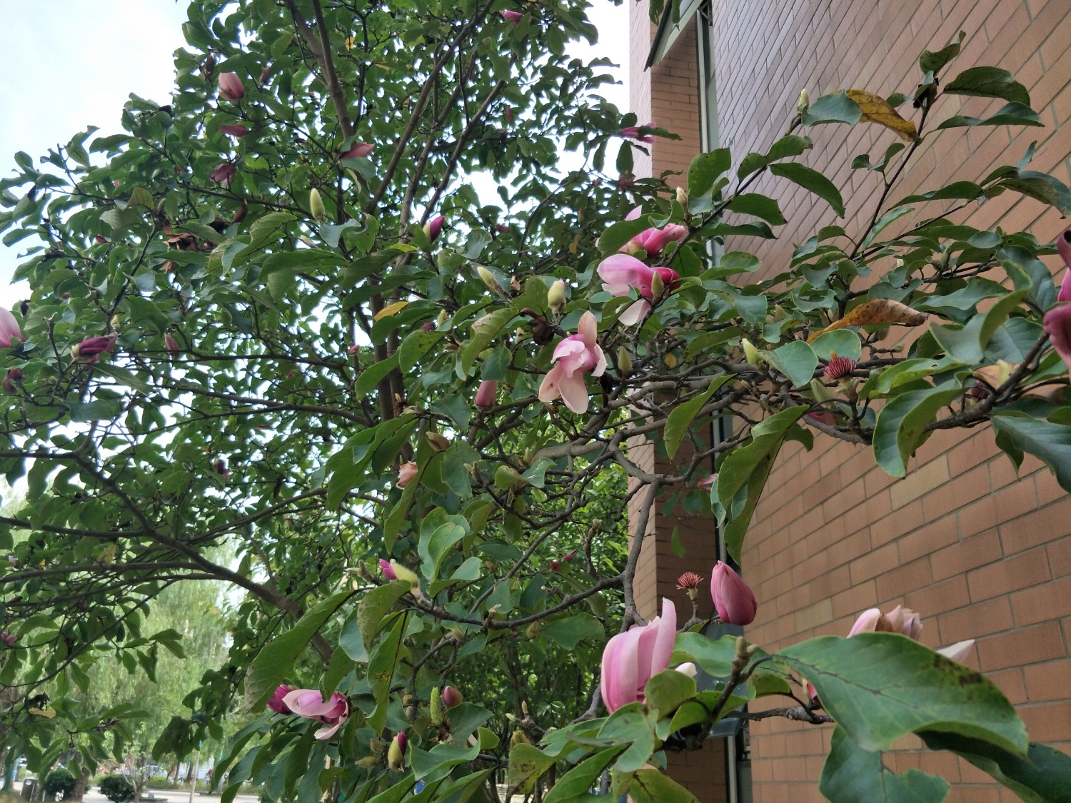 IMG20200916140344.jpg