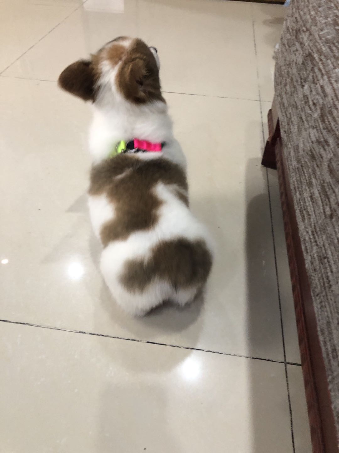wechat_upload16023293525f819b0810a42