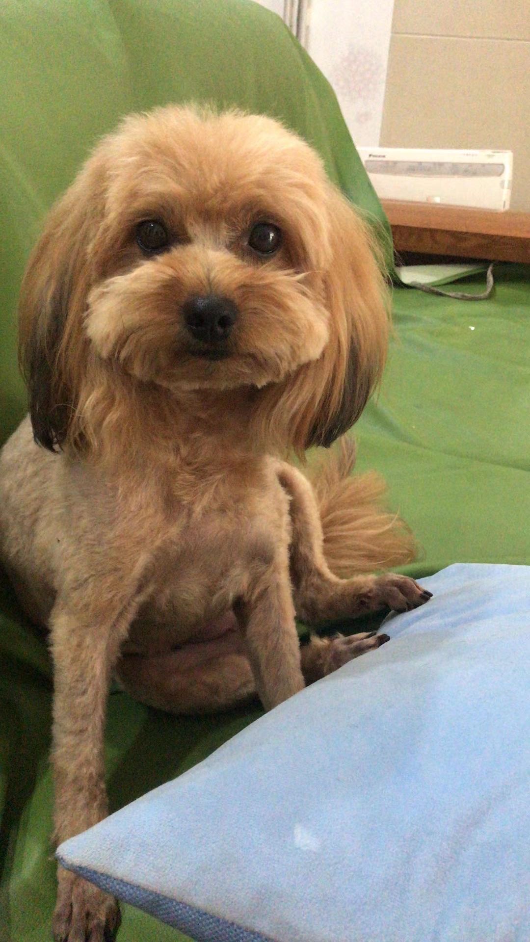 wechat_upload16026883125f87153856d69