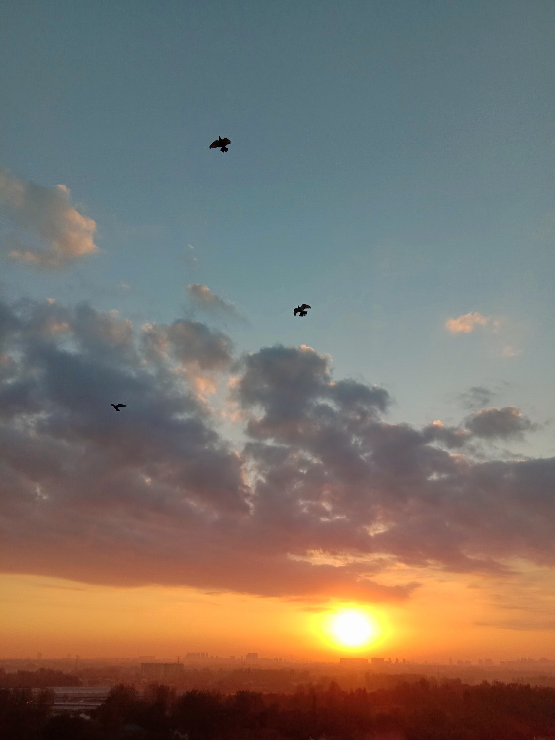 IMG_20201008_061539-01.jpeg
