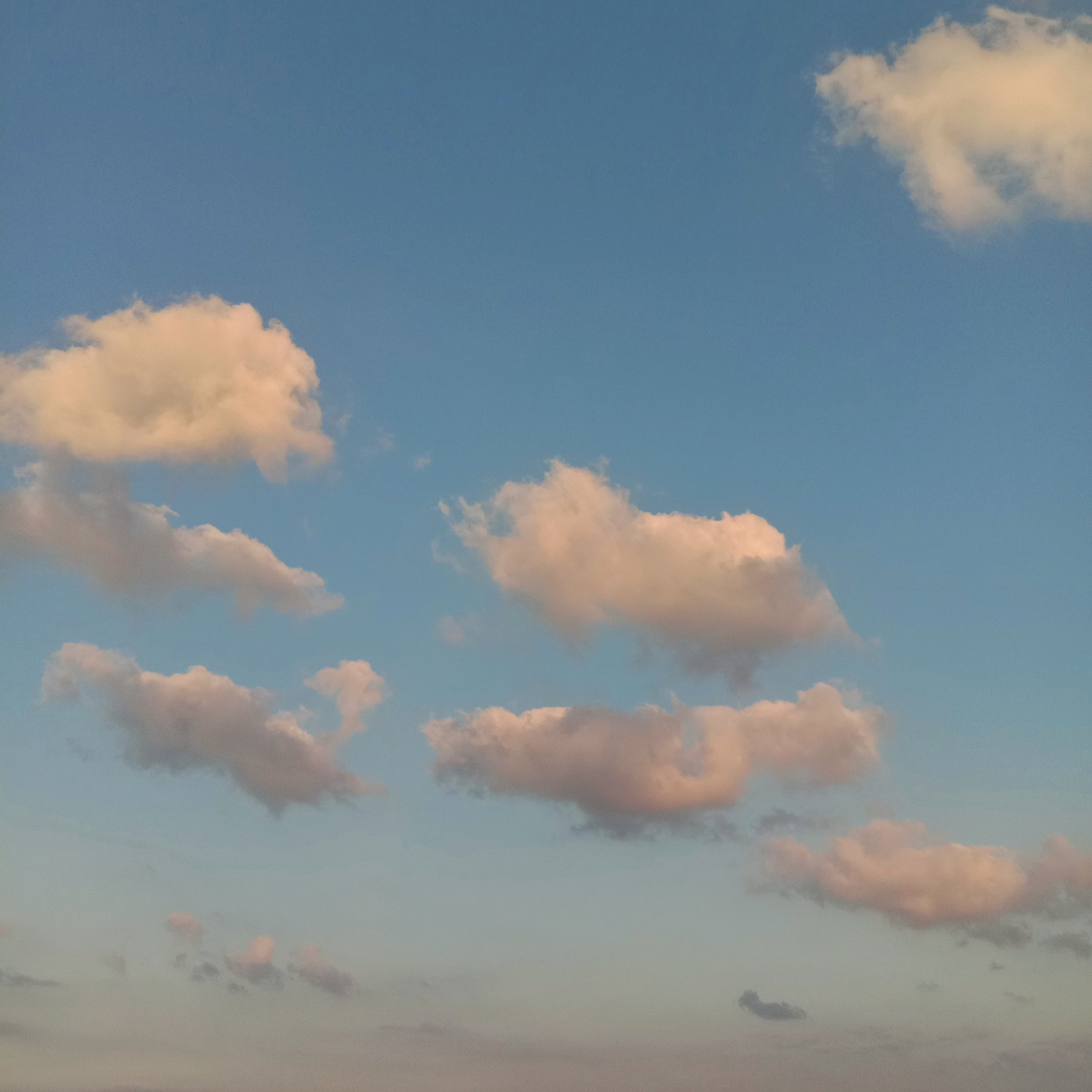 IMG_20201008_171811-01.jpeg
