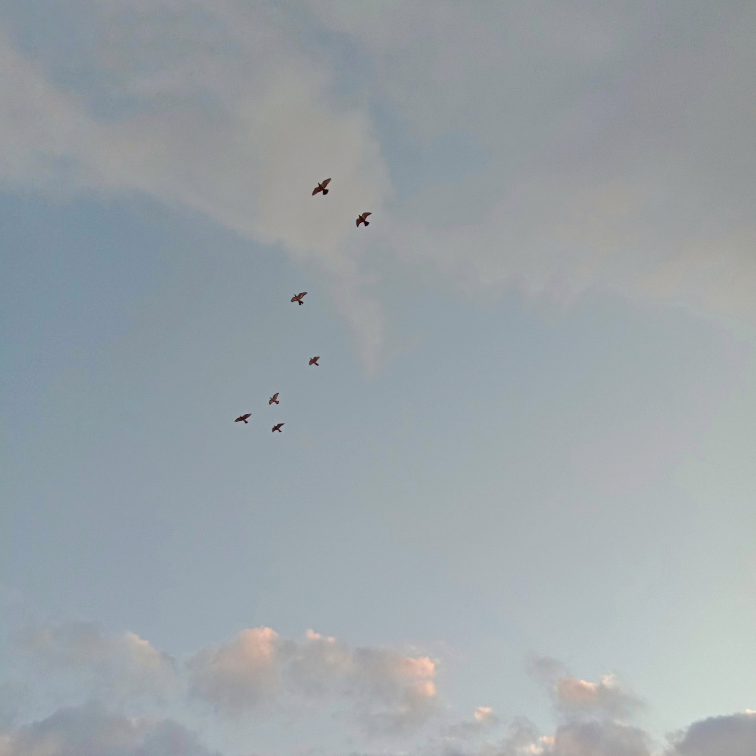 IMG_20201008_061443-01.jpeg