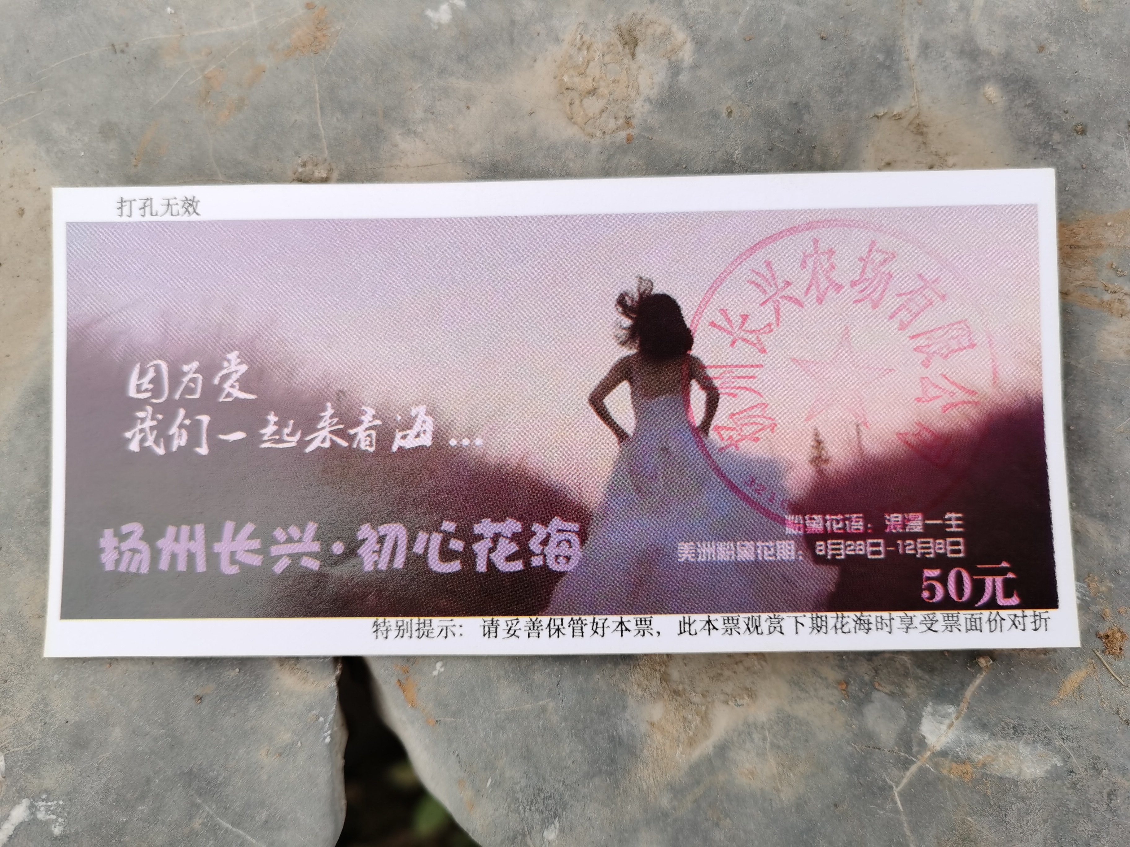 门票.jpg