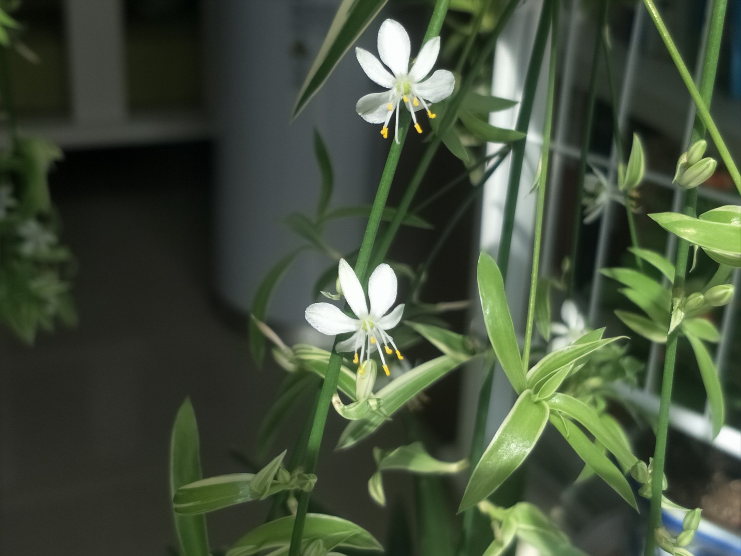 IMG20201007130018.jpg