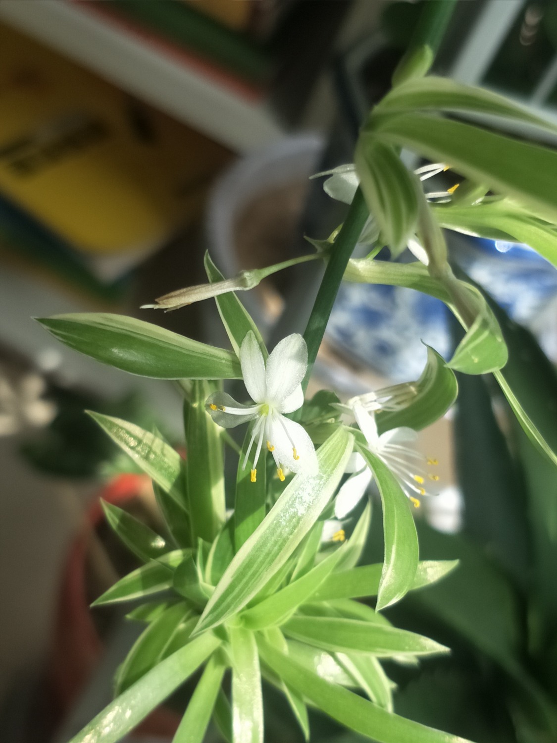 IMG20201007125757.jpg