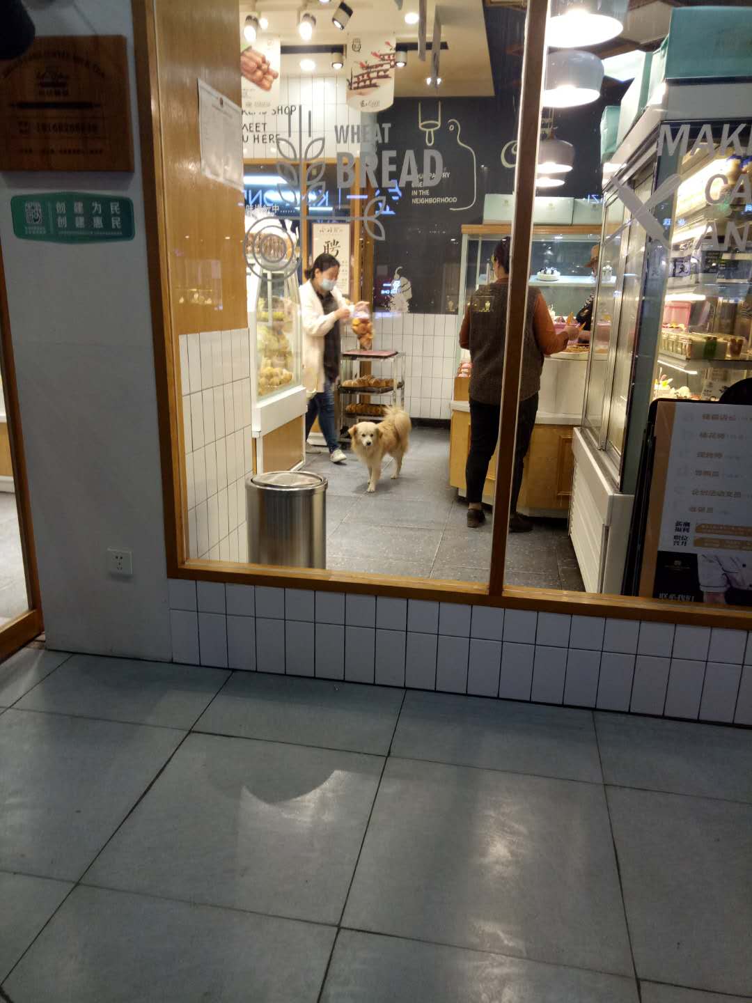 微信图片_20201107165402.jpg