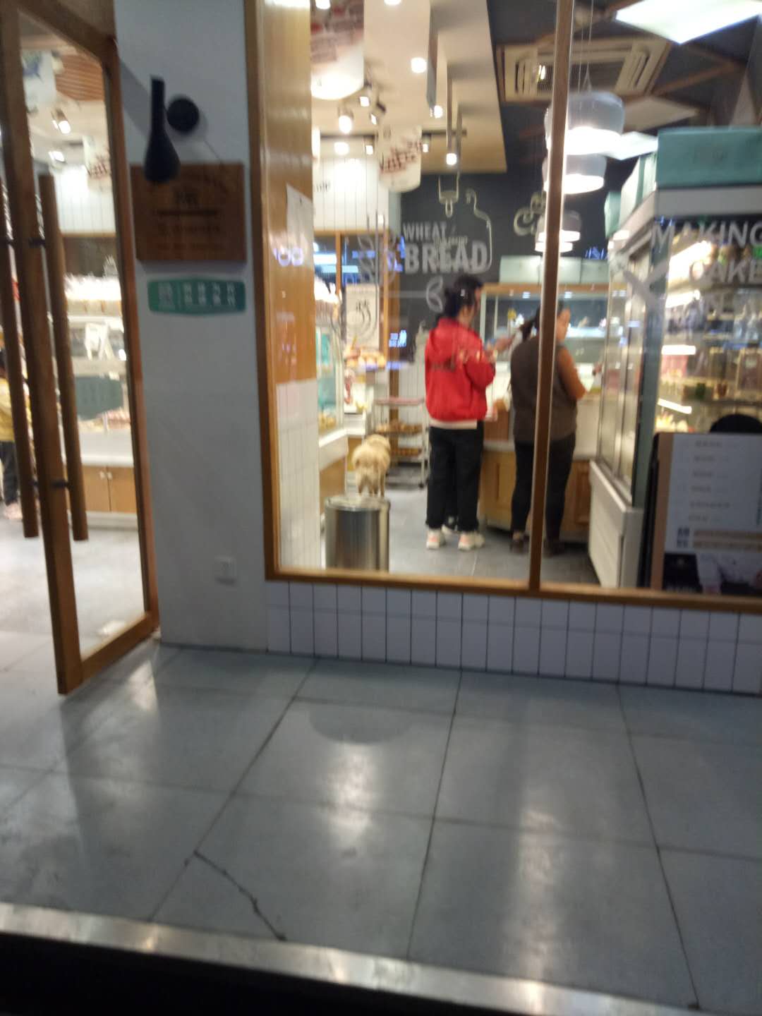 微信图片_20201107165341.jpg