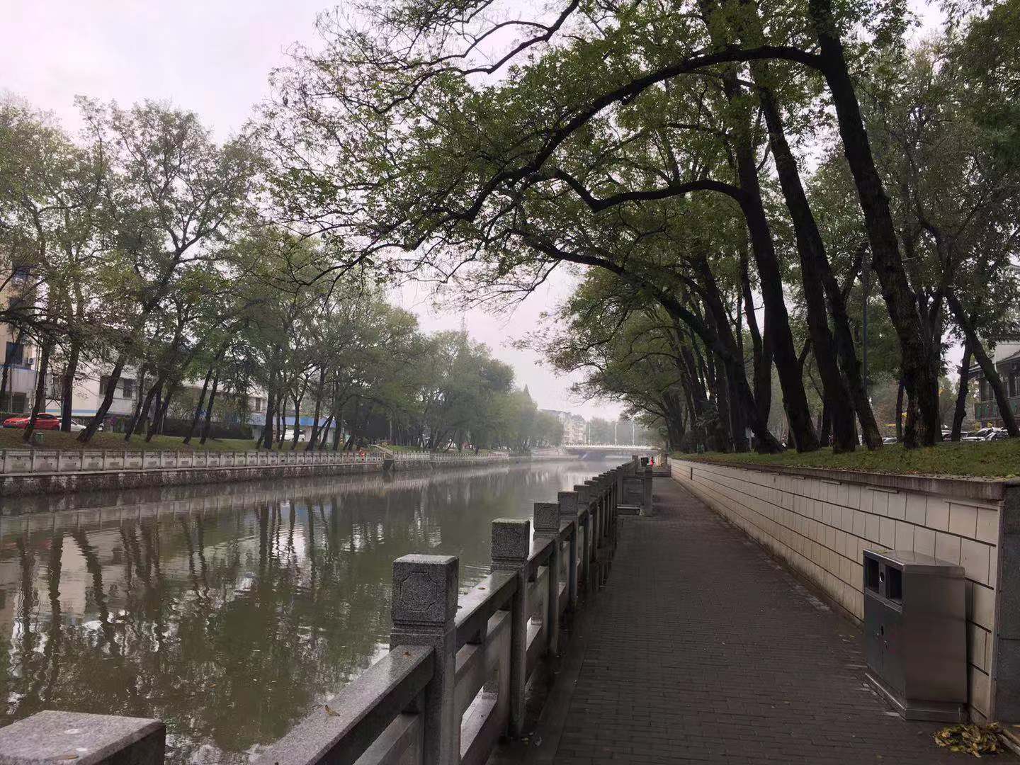 初冬的雨后