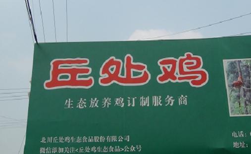 邱老板养鸡处.JPG