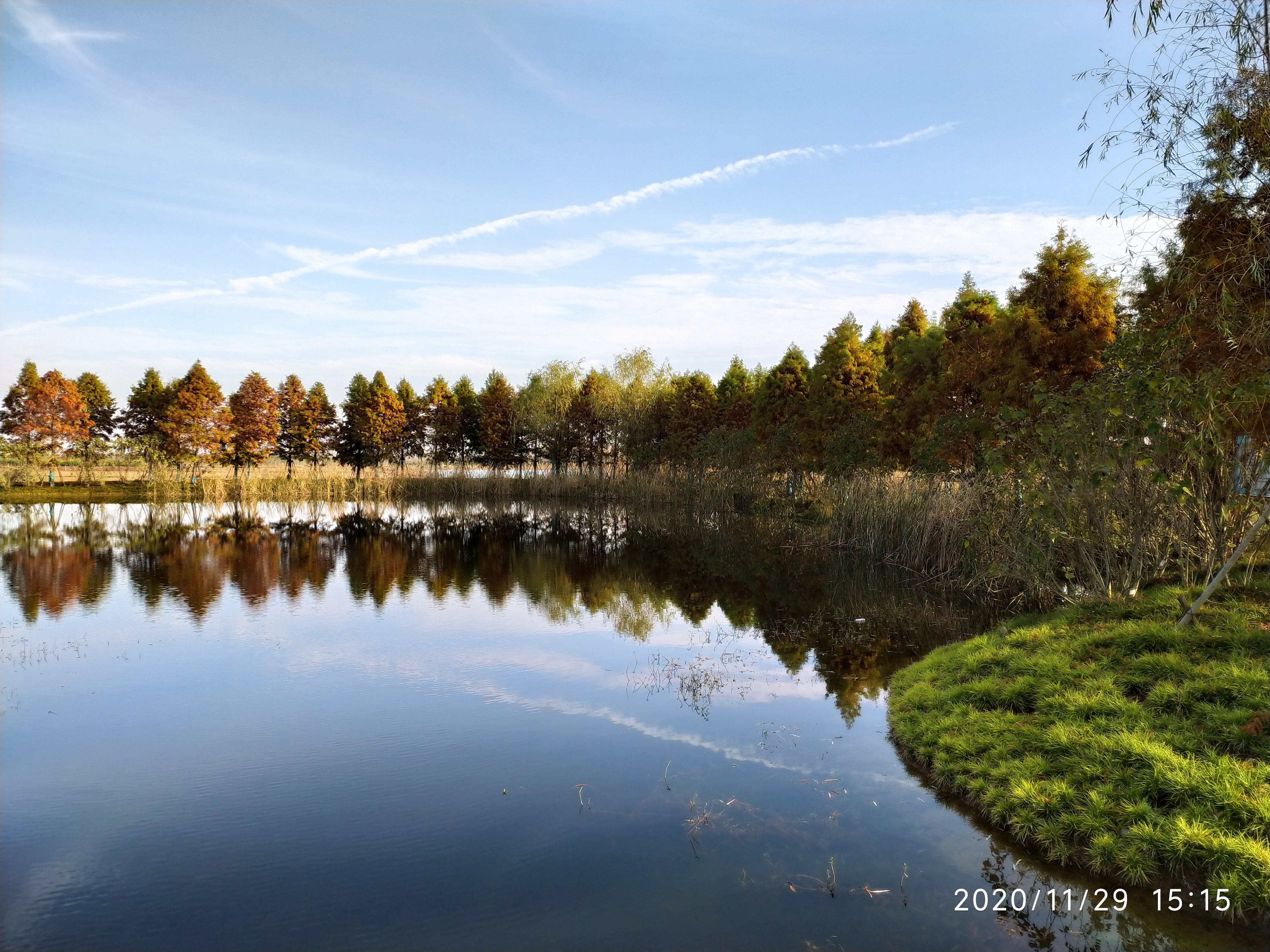 IMG_20201129_151519-2.jpg