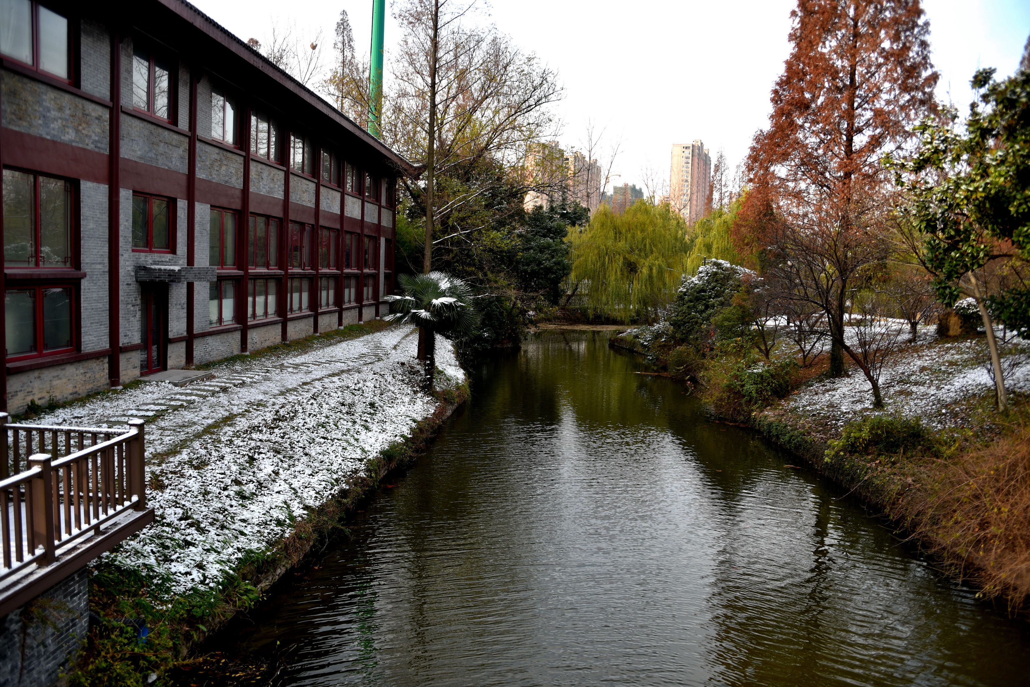 DSC_4269 n m.jpg
