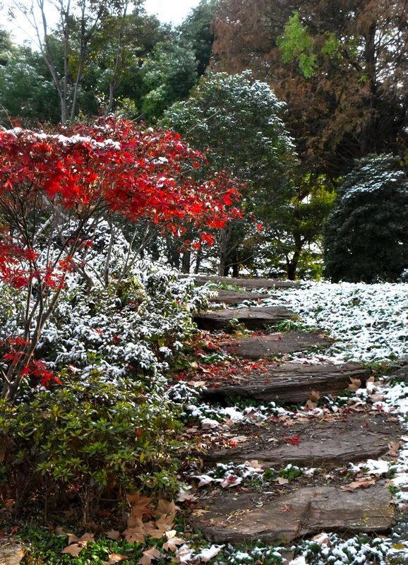 DSC_4279 nm.jpg