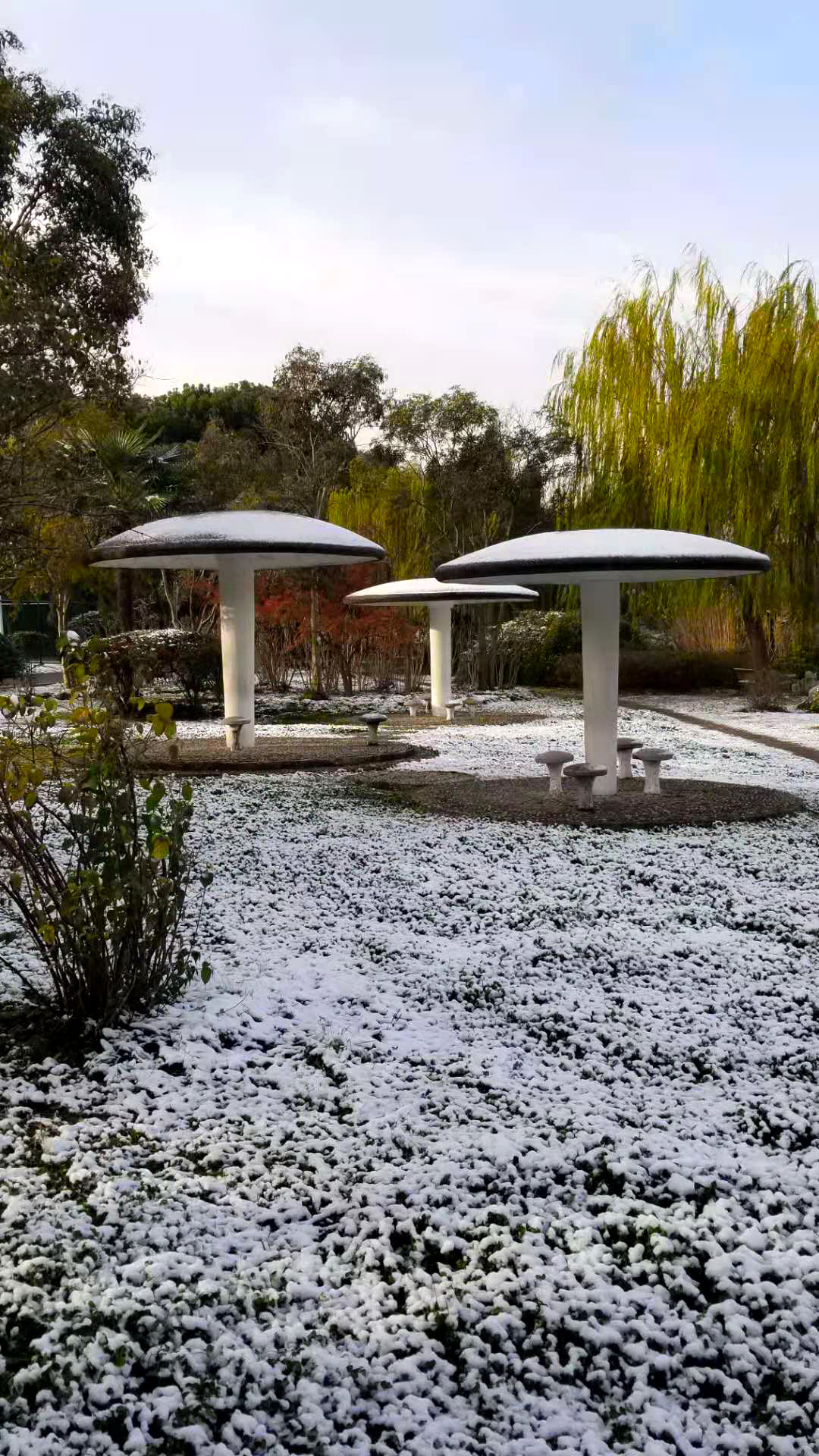 微信图片_20201214165047  n.jpg