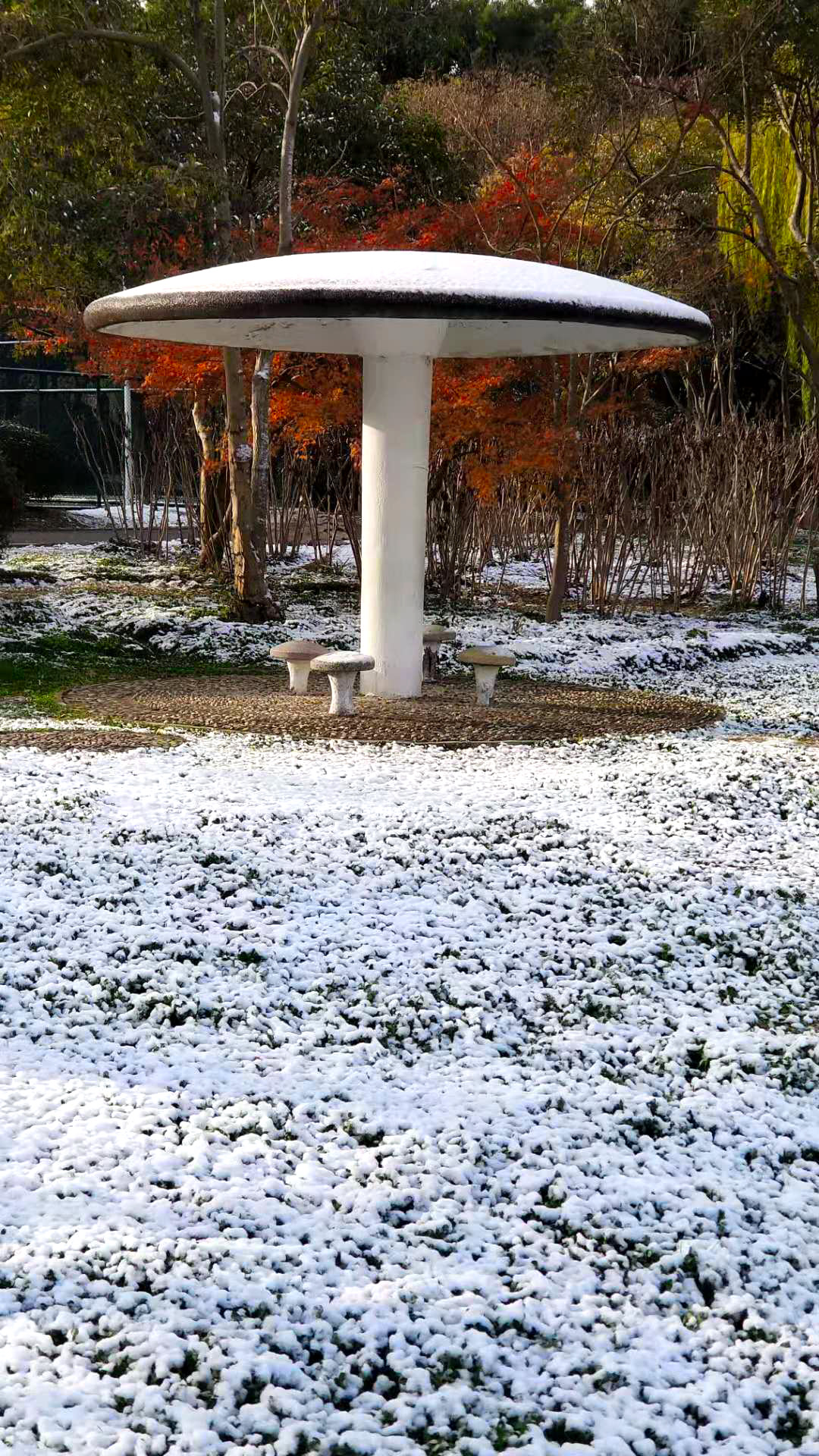 微信图片_20201214165105  n.jpg