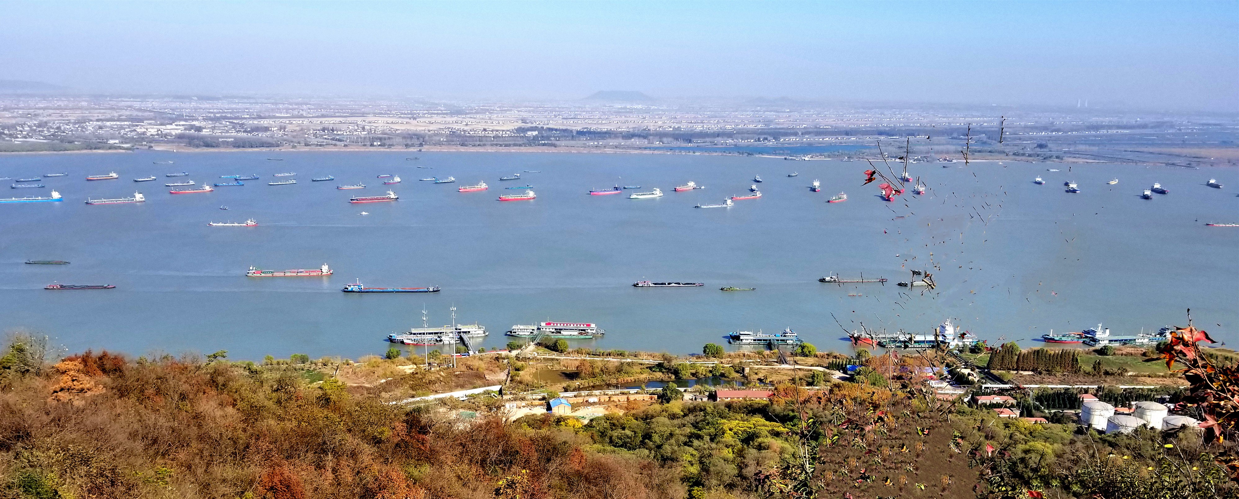 20201118_100244 n2.jpg