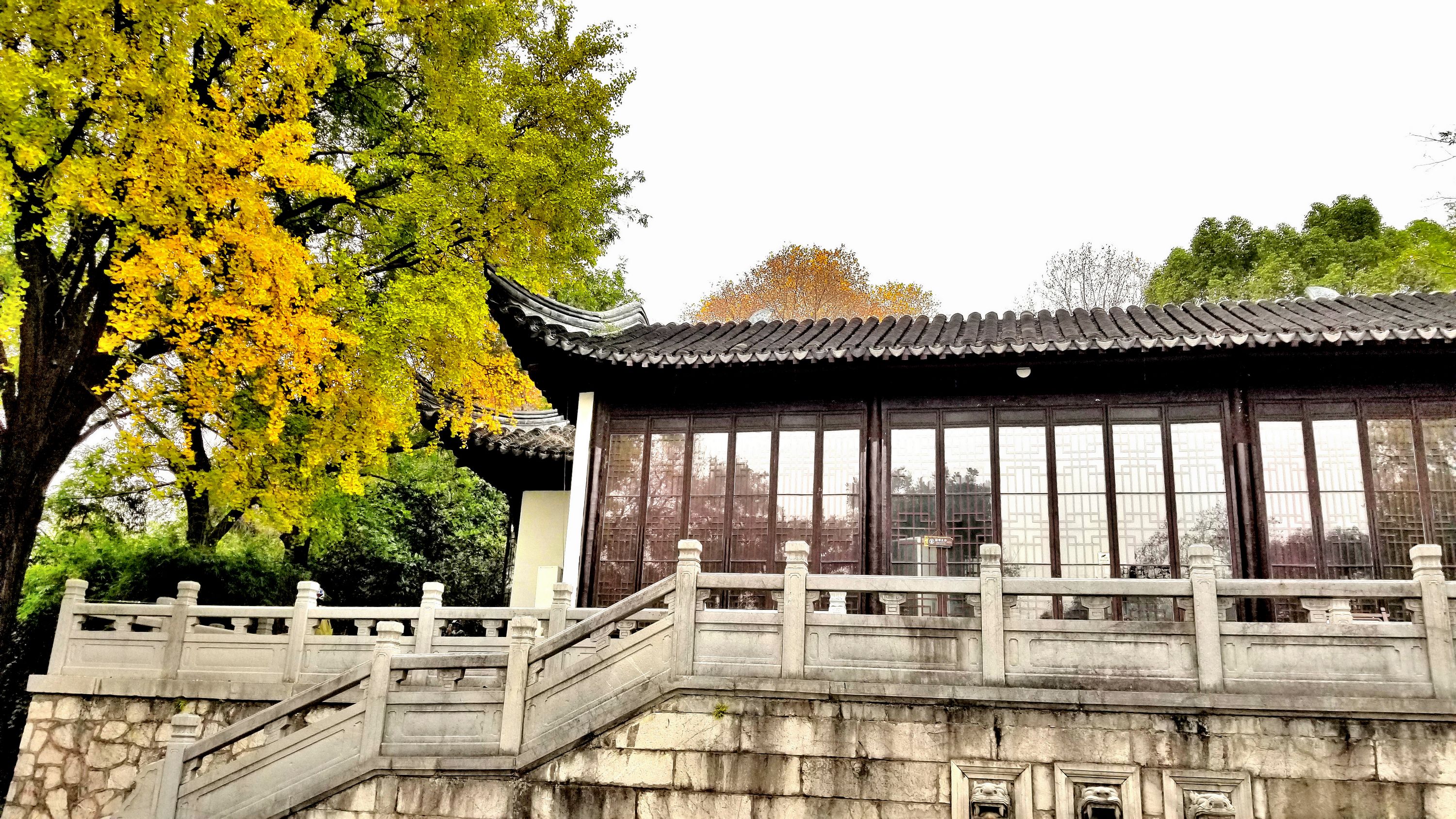 20201121_094814 m2.jpg
